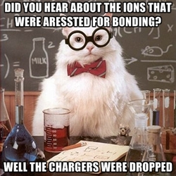 Chemistry Cat 15892246